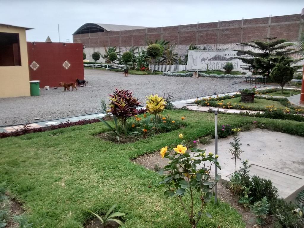 Motel Sahara Suites Barranca Exterior foto